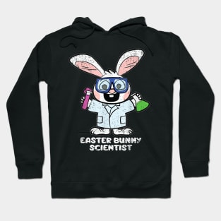 Easter Bunny Scientist Cute Rabbit Science Teacher Students Hoodie